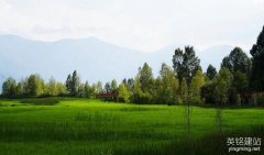 長(zhǎng)沙專業(yè)做網(wǎng)站怎么做更好？（長(zhǎng)沙專業(yè)做網(wǎng)站的4個(gè)要點(diǎn)）