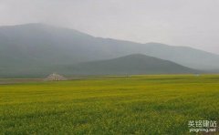 如何選擇長(zhǎng)沙網(wǎng)站制作公司呢？（長(zhǎng)沙網(wǎng)站制作公司能帶來(lái)的5點(diǎn)效果）